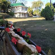 Los Olingos Lodge - Bird Paradise