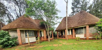 Edaala Comfort