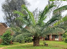 Edaala Comfort