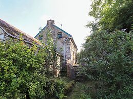 Penfeidr Newydd