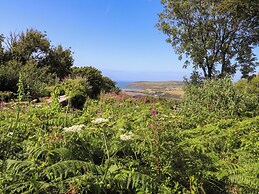 Penfeidr Newydd