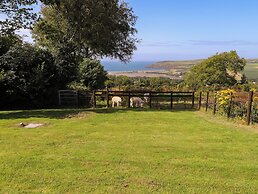 Penfeidr Newydd