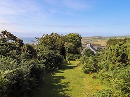 Penfeidr Newydd
