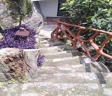 Mango Hill Yercaud