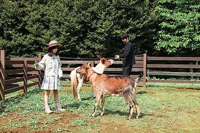 THE FARM Resort Japan