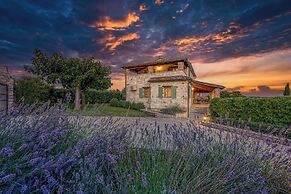 Villa Amyra With Pool