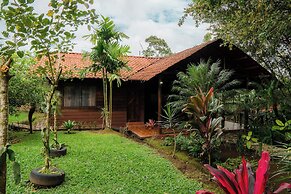 Natural Green Lodge