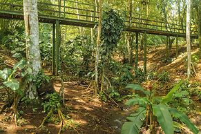 Natural Green Lodge
