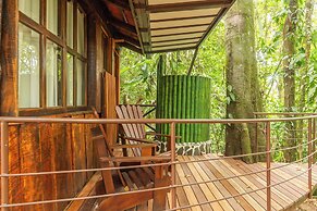 Natural Green Lodge