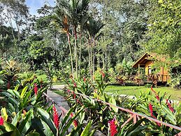 Natural Green Lodge