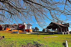 MASIA ARAMENI