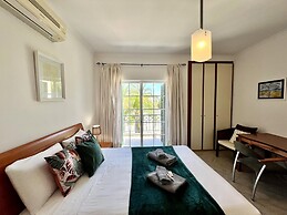Tavira Palm Tree by Homing