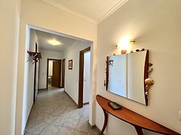 Tavira Palm Tree by Homing