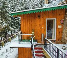 The Himalayan Living Whistling Pines