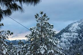 The Himalayan Living Whistling Pines