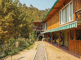 The Himalayan Living Whistling Pines