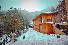 The Himalayan Living Whistling Pines