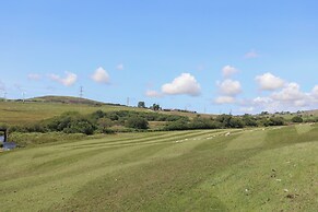 Bwthyn Derwin Fawr