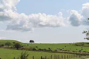 Bwthyn Derwin Fawr