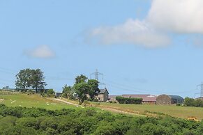 Bwthyn Derwin Fawr