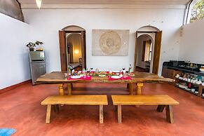 Seclude Falling Cashews Charao Goa