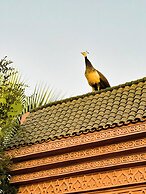 Guest House Qodwa