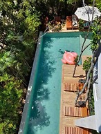 Spectacular Jungle Houses