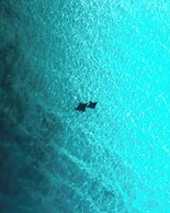Ocean Pearl Maldives