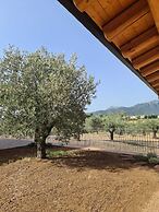 Agriturismo Corte Degli Ulivi