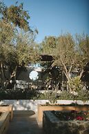 Casa Olivea