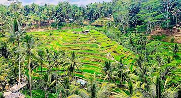 Green Flow Villa 3