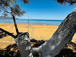 Lifeguard Beachfront - Luxury Flat, 30meters From Sea