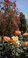 Cozy Apollon Villa, Sea View, Next To Galaxidi