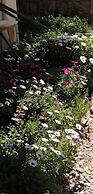 Cozy Apollon Villa, Sea View, Next To Galaxidi