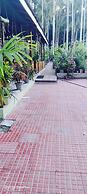 Placid Garden Resort