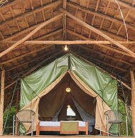 Forest Lodge Eco Camp