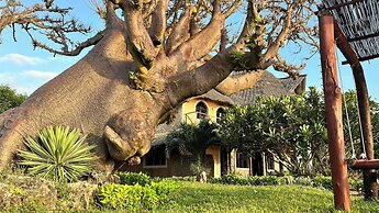 Room-38m2 Turtle Suite in a 560 m2 Villa