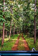 Tadoba Jungle Camp