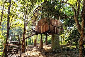 Kanha Jungle Camp