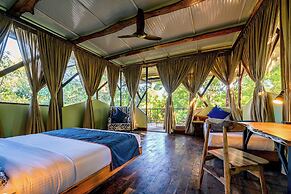 Kanha Jungle Camp