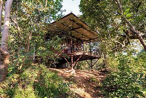 Kanha Jungle Camp