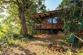 Kanha Jungle Camp