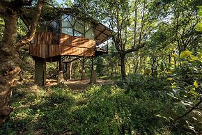 Kanha Jungle Camp