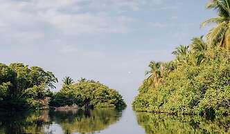 BAMBU Ecocabanas