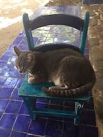 BAMBU Ecocabanas