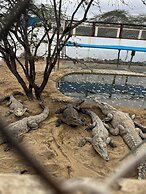 Gamora Hotel Playa