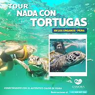 Gamora Hotel Playa