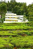 AIRA Residency