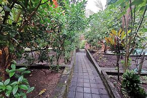 Balian Green Lagoon
