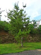 Cherub Camp Area